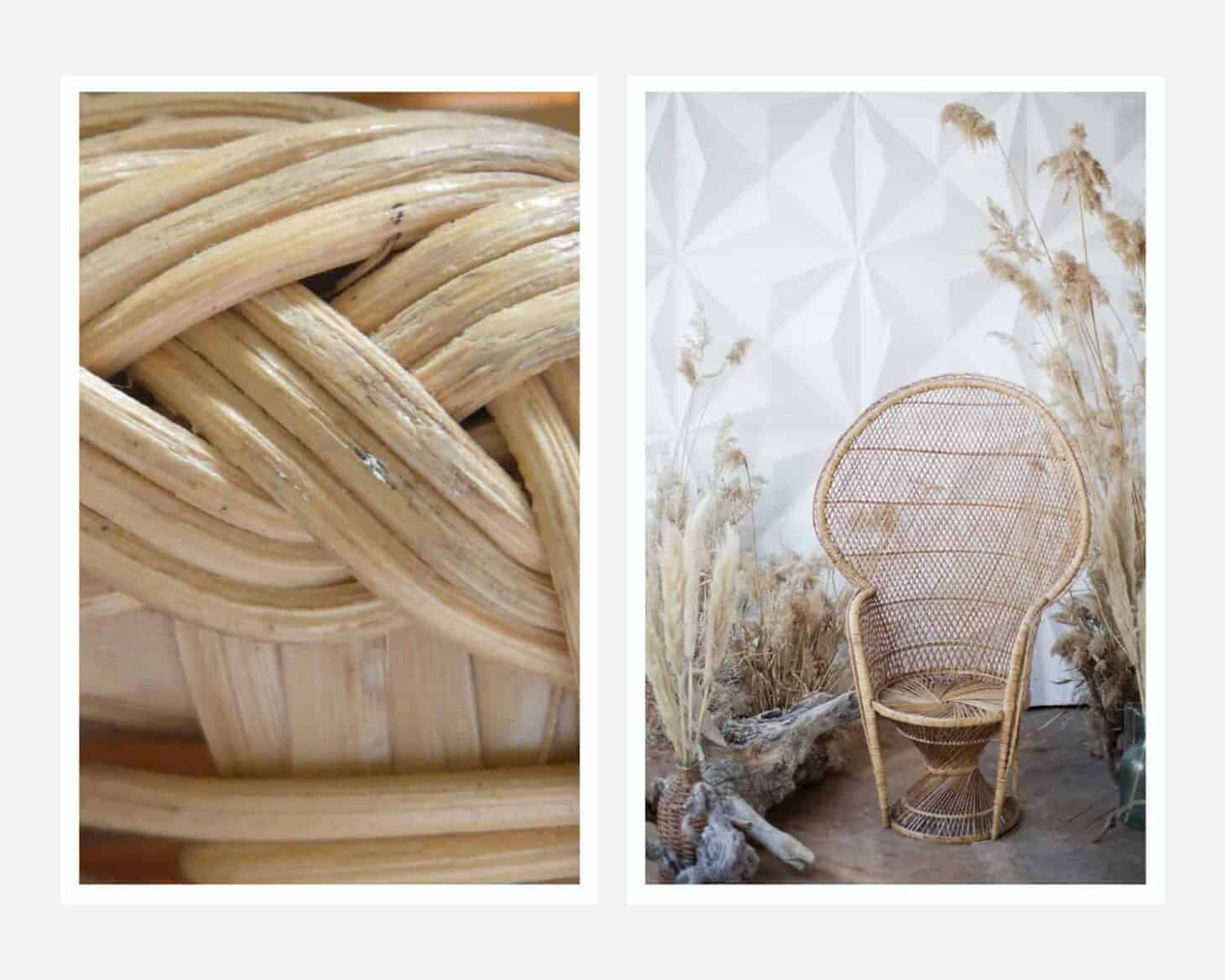 what-is-pe-rattan-pros-cons-everything-about-it